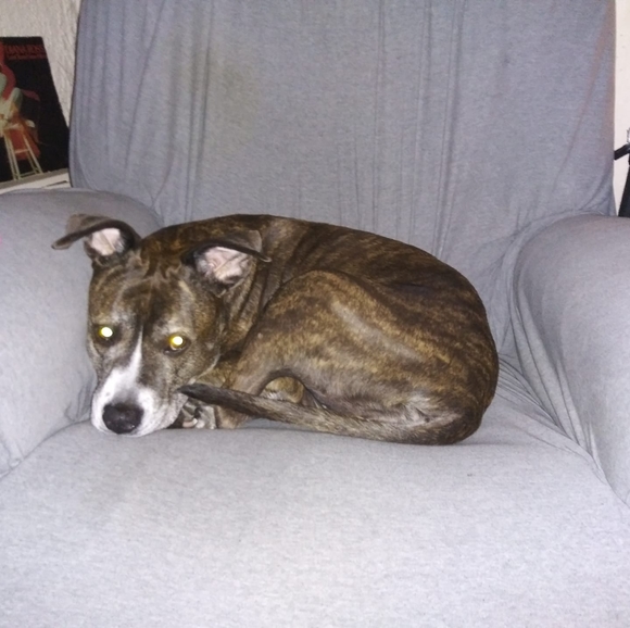 Meet your Posher, Edith - Picture 1 of 1